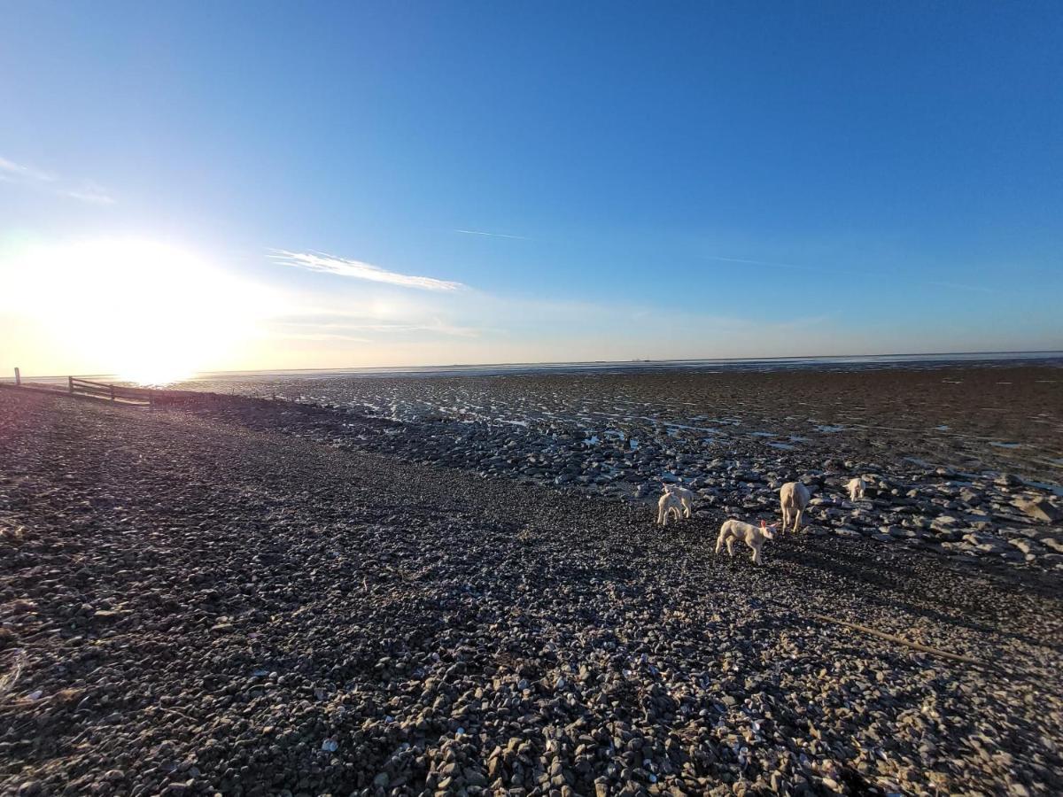 Wierums Huske Aan De Waddenzee Unesco Werelderfgoed エクステリア 写真
