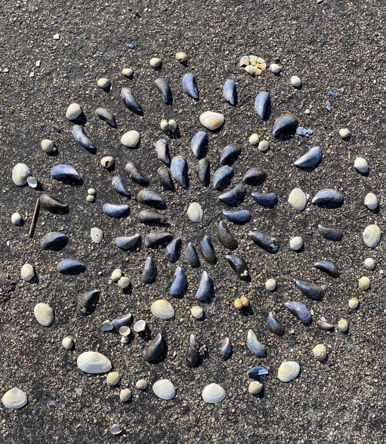 Wierums Huske Aan De Waddenzee Unesco Werelderfgoed エクステリア 写真